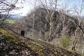 Un terril vu depuis le plan incliné boisé d'un autre.