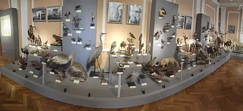du musée.