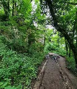 Chemin forestier