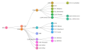Clades Nextstrain, janvier 2022.
