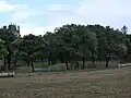 Mur d'enceinte du parc détruit en mai 2022.