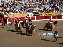 Les picadors.