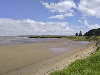 Tapora