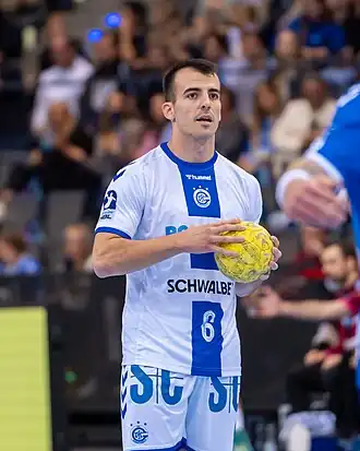 Image illustrative de l’article Miloš Vujović