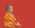 Le 20e Kushok Bakula Rinpoche