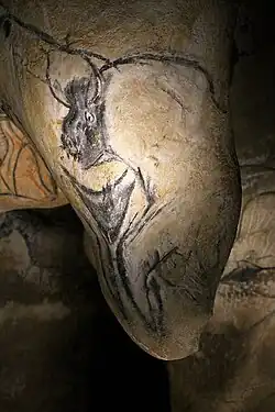 29&nbsp;: Triangle pubien, tête de bison, jambe humaine.