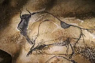30&nbsp;: Grand bison.