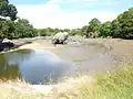 Rocher au milieu de la ria du Minaouët (photo prise de la digue du moulin à marée).