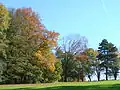 Les arbres du parc en automne.