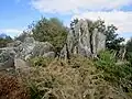 Les landes du Liscuis vues depuis le GR 341 vers Lann Falc'h.