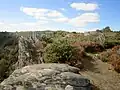 Les landes du Liscuis vues depuis le GR 341 vers Lann Falc'h.