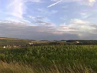 Münschecker