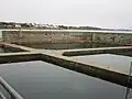 Bassins d'eau de mer pour les études et l'acclimatation.