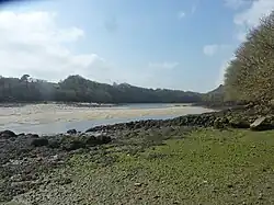L'Aber Benoît vu du chemin de Porléac'h (rive droite, commune de Lannilis).