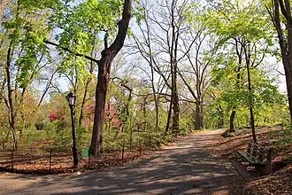 Image illustrative de l’article Incident de l'ornithologue de Central Park