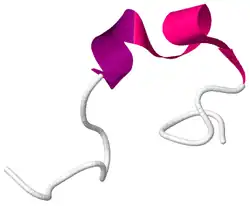 Image illustrative de l’article Obestatine