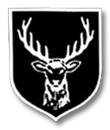 Image illustrative de l’article 31e division SS de volontaires