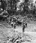 32e&nbsp;division d'infanterie américaine près de Saidor