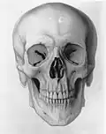 Illustration médicale de Duncan K. Winter