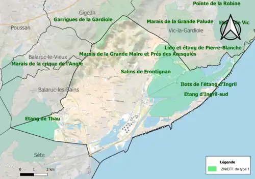 Carte des ZNIEFF de type 1 sur le territoire de la commune.