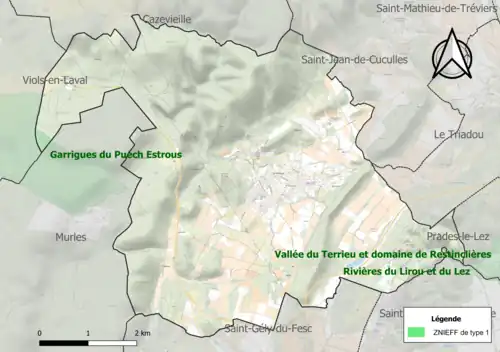 Carte des ZNIEFF de type 1 sur la commune.