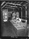 Latrines des hommes (US army, seconde guerre mondiale en Italie ?)