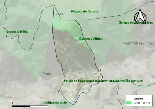 Carte des ZNIEFF de type 1 sur la commune.