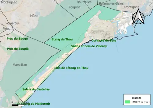 Carte des ZNIEFF de type 1 sur le territoire de la commune.
