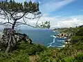 Poullan-sur-Mer : vue vers l'est des falaises aux environs de Kergavan depuis le GR 34.