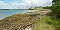 La côte nord de la pointe du Château vue de celle-ci (littoral sud de la ria de la Rivière de Daoulas).