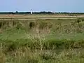 Le marais à Soumard