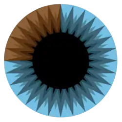 Vidéaste Web