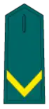 Guardia Alumno
