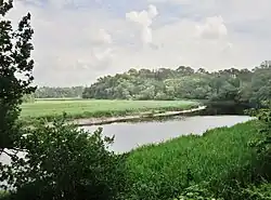 La ria du Scorff vue depuis la rive droite (à gauche de la photographie, la rive gauche côté Caudan et ses roselières à hauteur du hameau du Stumo).