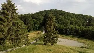 Markovac (Daruvar)