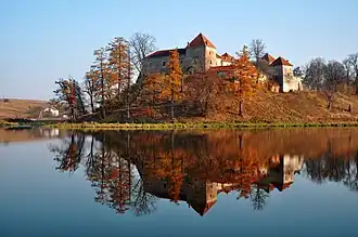 Image illustrative de l’article Château de Svirj