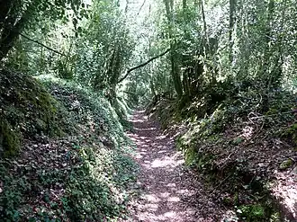 Image illustrative de l’article Bois du Névet