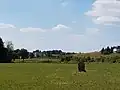 Le menhir avec le bourg du Genest en arrière-plan.