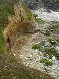 Plouhinec (Finistère) : plage fossile de galets sur une falaise entre les plages de Mesperleuc et Gwendrez.