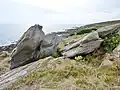 Affleurements d'orthogneiss entre les plages de Guendrez et de Mesperleuc.