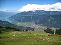 Vue sur Interlaken et le lac de Thoune depuis  le tracé de la Schynige Platte