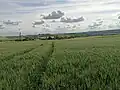 Vue générale du village au milieu des champs.