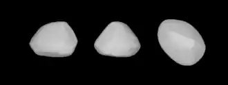 Description de l'image 595Polyxena (Lightcurve Inversion).png.