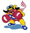 Emblème du 62nd Squadron.