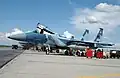 Alignement de F-15 des Agressors du 65th Squadron en 2007 avant leur départ pour l'Alaska.