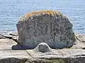 Trégunc (entre la Pointe de la Jument et la plage de Pendruc) : rochers façonnés par l'homme (forme arrondie et base circulaire horizontale), pouvant laisser supposer l'existence à cet endroit d'un ancien lieu de culte préhistorique 2.