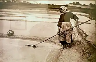Marais salants de Billiers (Morbihan) (début XXe siècle, Musée de Bretagne, Rennes).