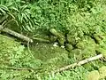 Le lit asséché du ruisseau devant le porche de la grotte.
