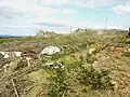 La lande près du sommet de Ty Coz (un des sommets des Montagnes Noires) 3.