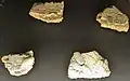 Fragments d'enduits peints avec incrustation de coquillages (villa de Kervenennec, probablement IIIe&nbsp;siècle après J.-C.).